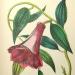 1860s autograph album illustration